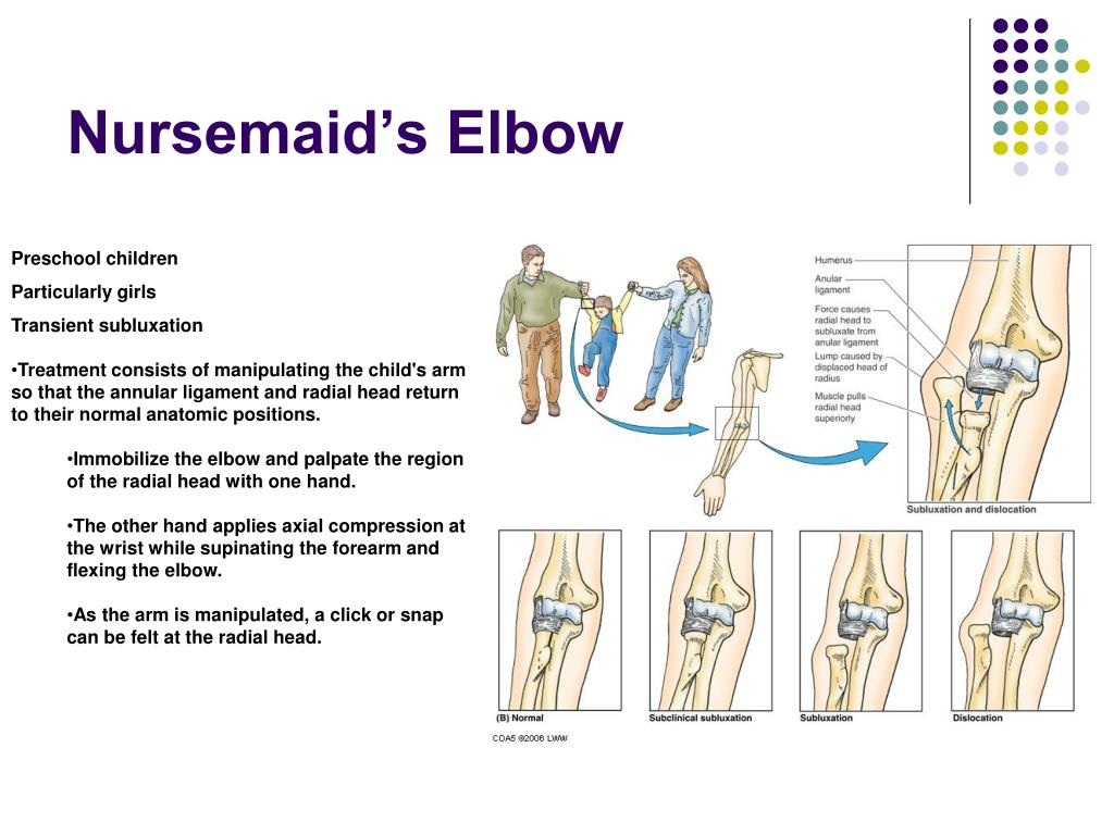 PPT Anatomy for Health Care Professionals NUR469 Lecture 2 September