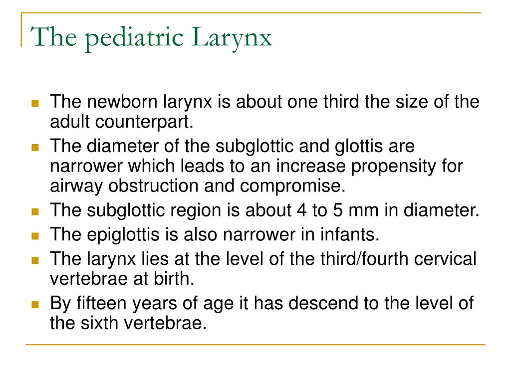 diameter of adult glottis diameter of adult glottis
