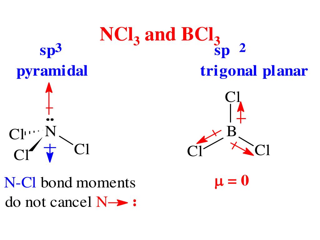 NCl3 and BCl3.