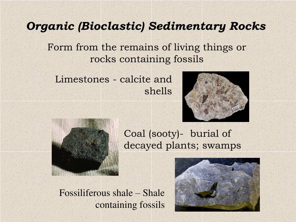 PPT - ROCKS THAT FORM FROM AN ACCUMULATION OF SEDIMENTS DERIVED FROM ...