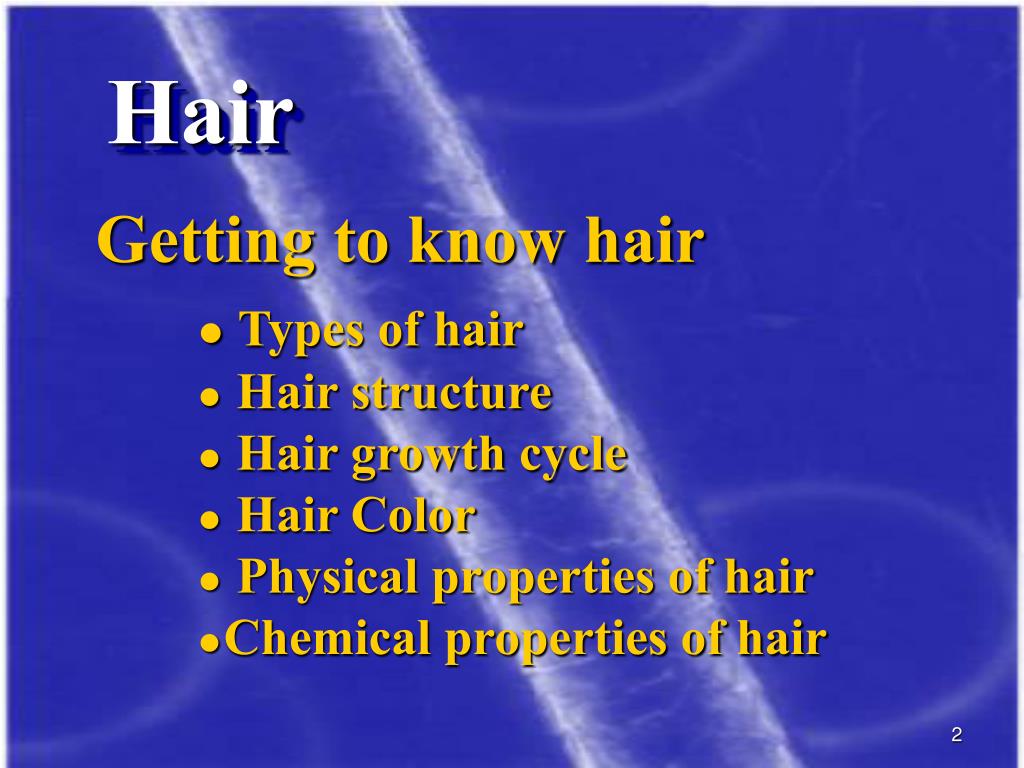 PPT - HAIR CARE PowerPoint Presentation, free download - ID:474561