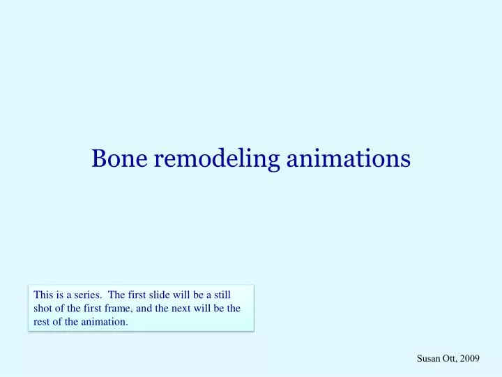 bone remodeling animations n.