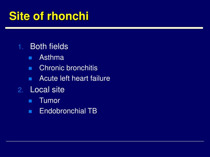 rhonchi lung sounds rhonchi lung sounds