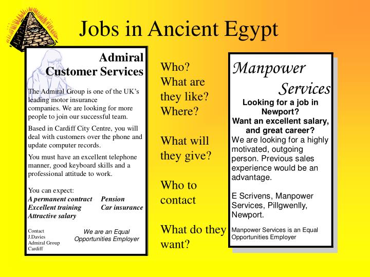 Jobs in egypt for fresh graduates of india