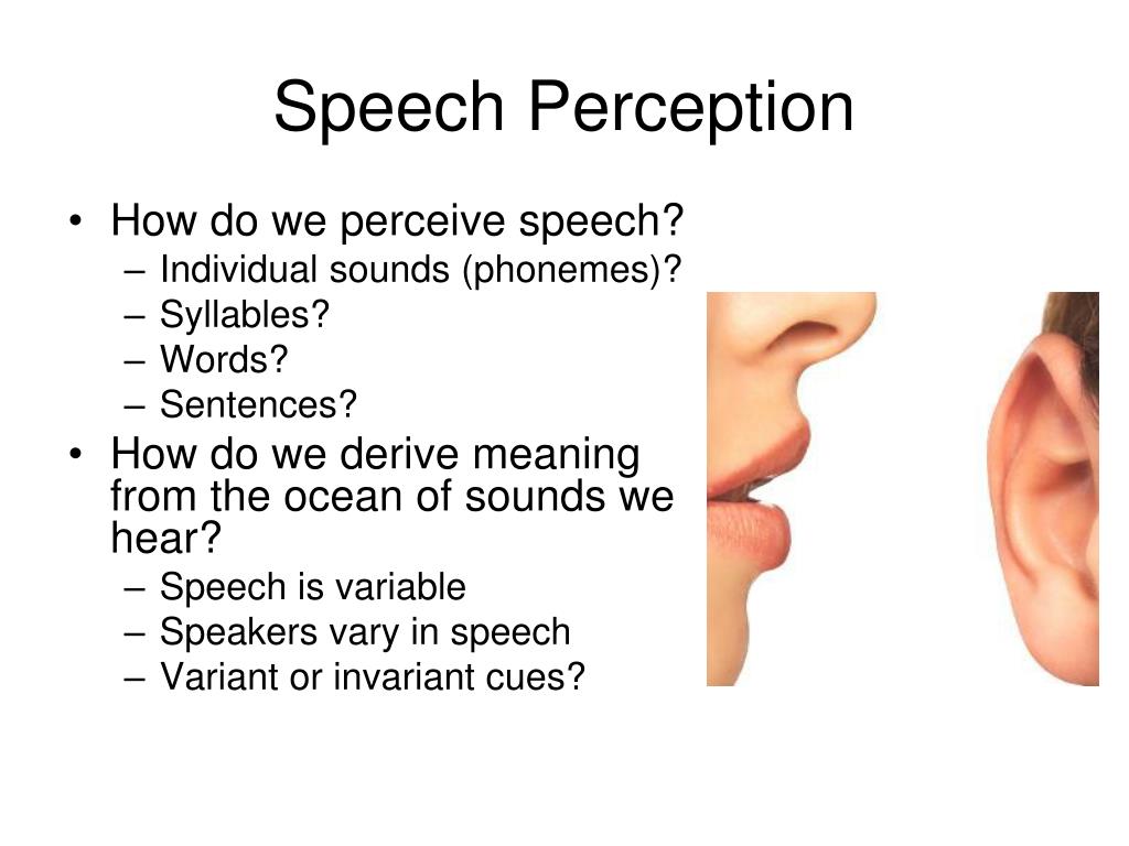 definition of speech perception