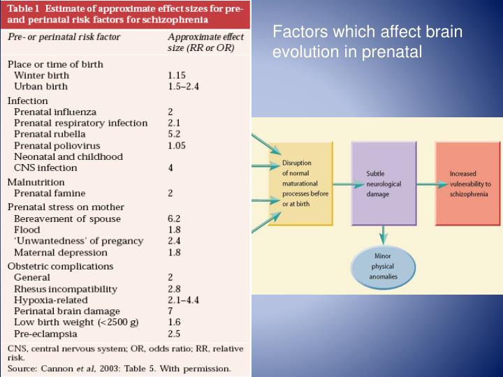 perinatal factors and schizophrenia essay Although a family history of schizophrenia is the best-established risk factor for schizophrenia, environmental factors such as the place and season of birth may also be important methods using data from the civil registration system in denmark, we established a population-based cohort of 175 million persons whose mothers were danish women born between 1935 and 1978. perinatal factors and schizophrenia essay Although a family history of schizophrenia is the best-established risk factor for schizophrenia, environmental factors such as the place and season of birth may also be important methods using data from the civil registration system in denmark, we established a population-based cohort of 175 million persons whose mothers were danish women born between 1935 and 1978.