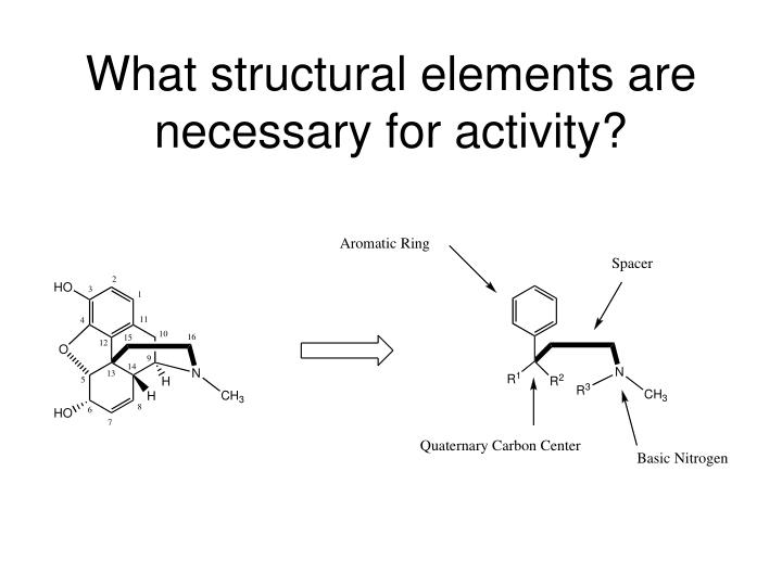 PPT - Summary Of Structure-activity Relationships (SAR’s) PowerPoint ...