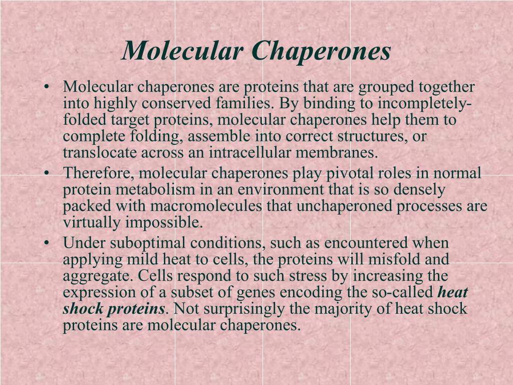 molecular chaperone definition molecular chaperone definition