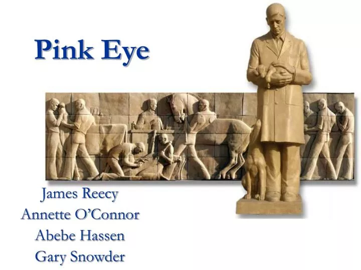 pink eye n.