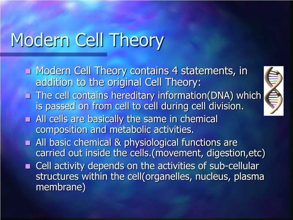 PPT - The Cell Theory PowerPoint Presentation, Free Download - ID:477737