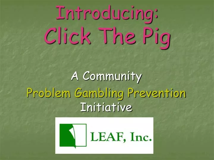 introducing click the pig n.