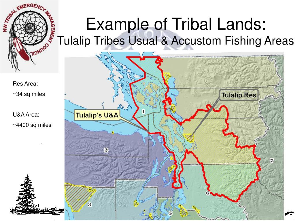 The Tulalip Tribes: A Legacy of Resilience and Prosperity in Washington State