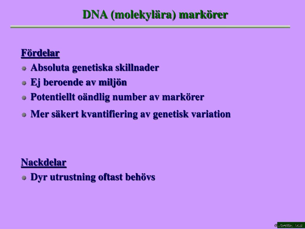 PPT - Molekylära metoder för kartläggning av genetisk diversitet ...