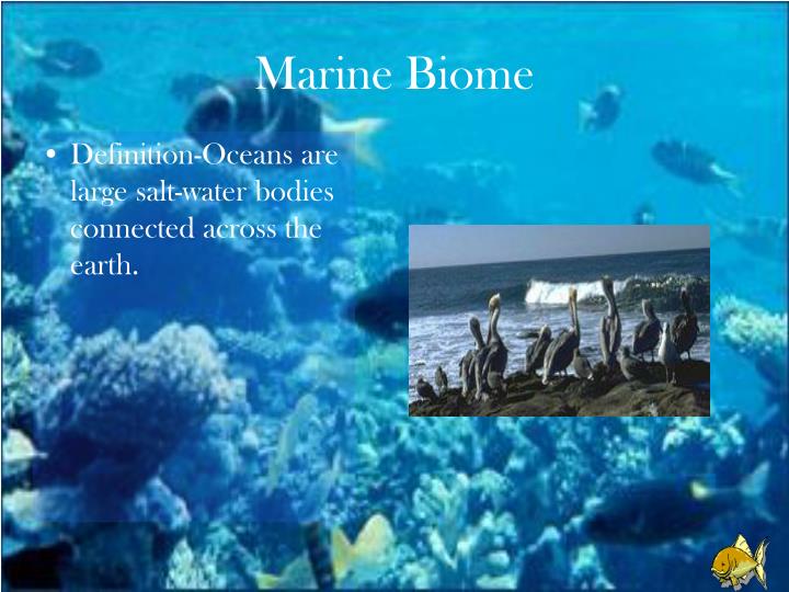 PPT Marine Biome PowerPoint Presentation ID 483361