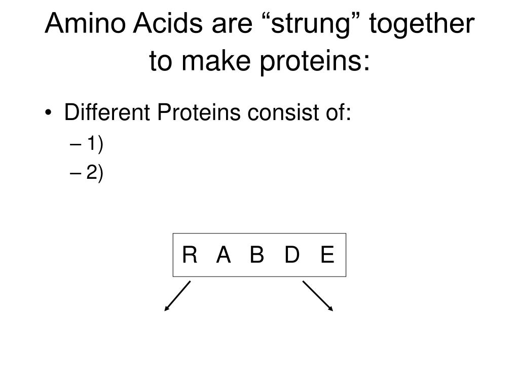 PPT Proteins, Amino Acids PowerPoint Presentation, free download ID