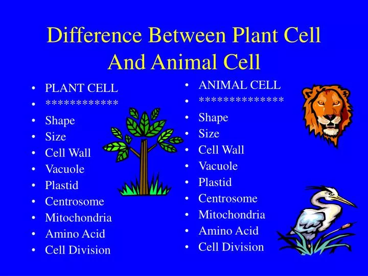 PPT - Difference Between Plant Cell And Animal Cell PowerPoint Presentation  - ID:484486