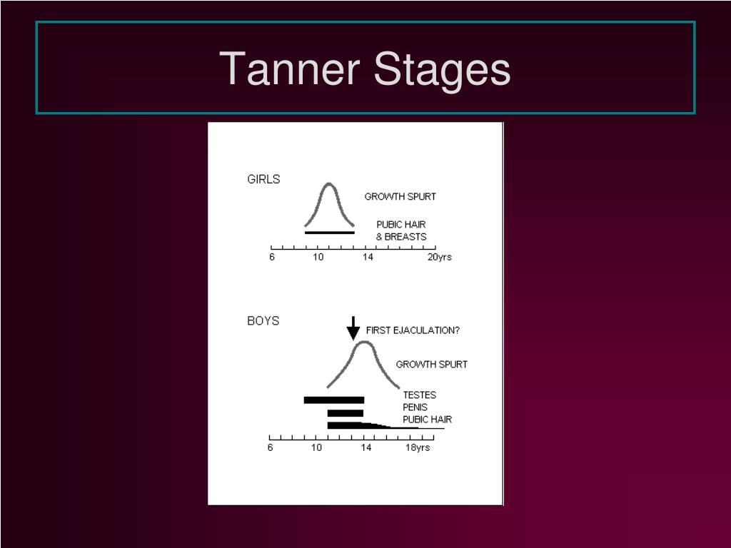 PPT Adolescence PowerPoint Presentation Free Download ID 485124 PPT Adolescence PowerPoint Presentation Free Download ID 485124