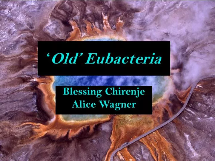 old eubacteria n.