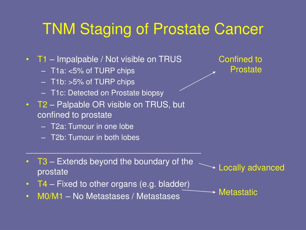 Prostate Cancer Tnm Staging