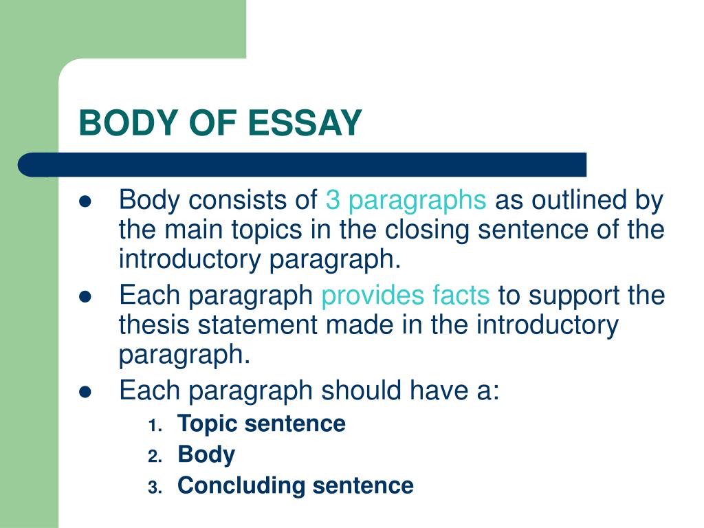 body of essay contains
