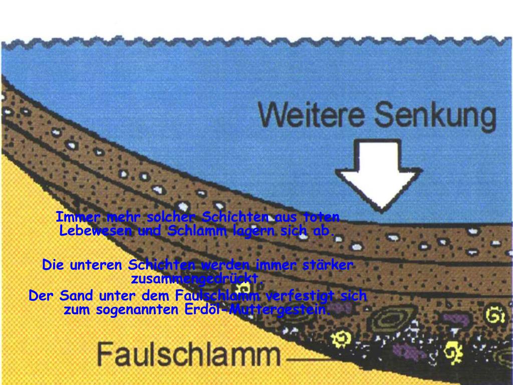 PPT Wie entsteht Erdöl? PowerPoint Presentation, free download ID