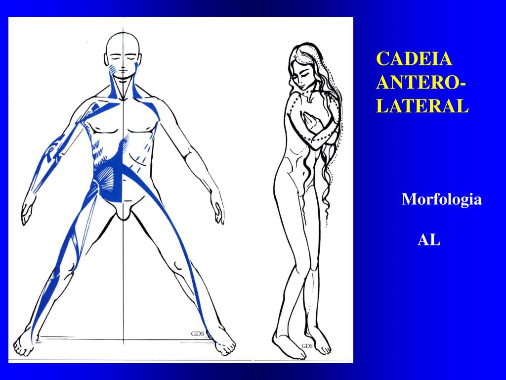 Cadeias musculares.pptx