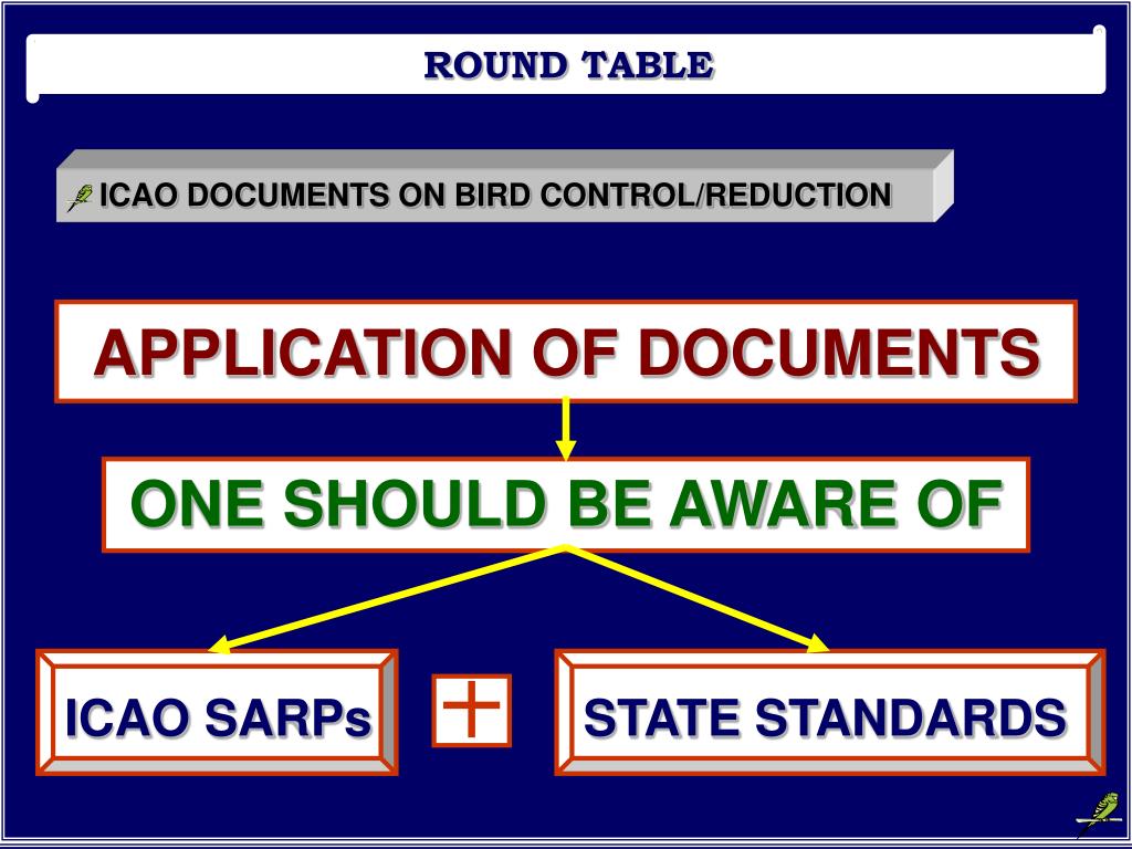 Ppt Round Table Application Of Icao Annex 14