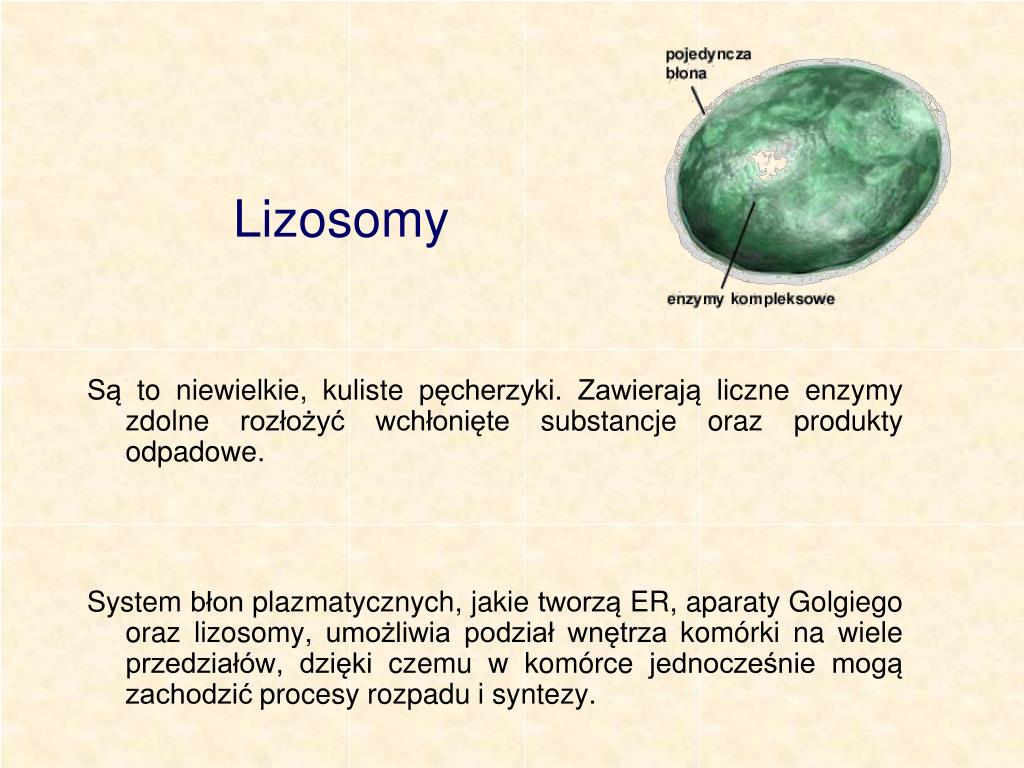 PPT Materia y Pochodz Z Platformy Edukacyjnej Portalu Www PPT Materia y Pochodz Z Platformy Edukacyjnej Portalu Www