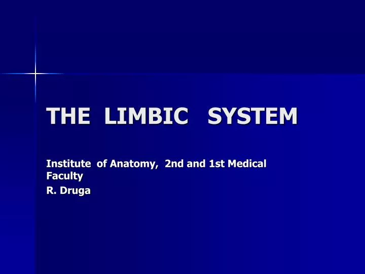 the limbic system n.