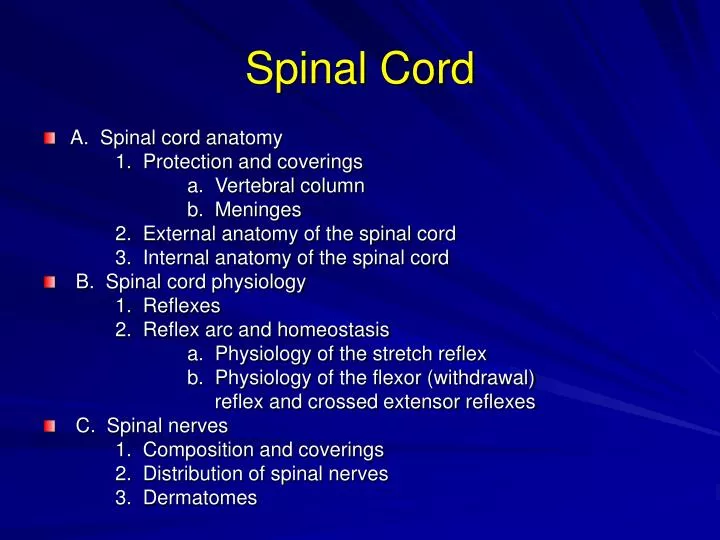 Ppt Traumatic Spinal Cord Injury Powerpoint Presentation Id976523