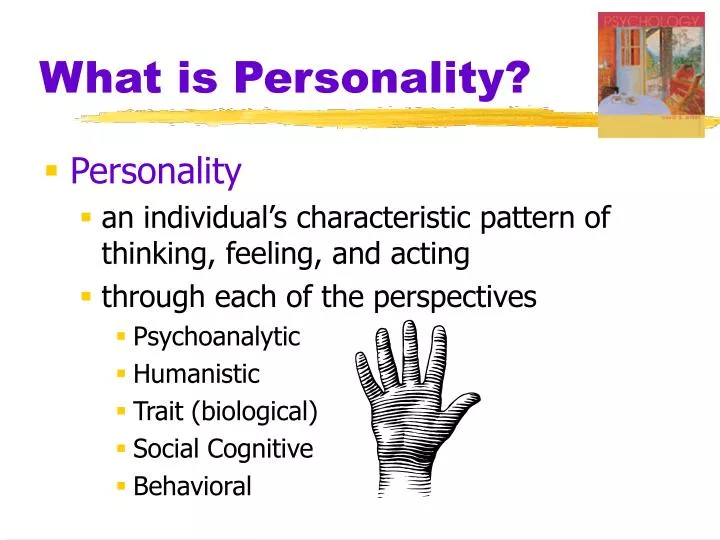 what is personality n.