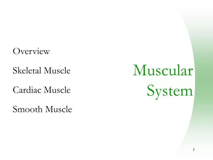 overview skeletal muscle cardiac muscle smooth muscle n.
