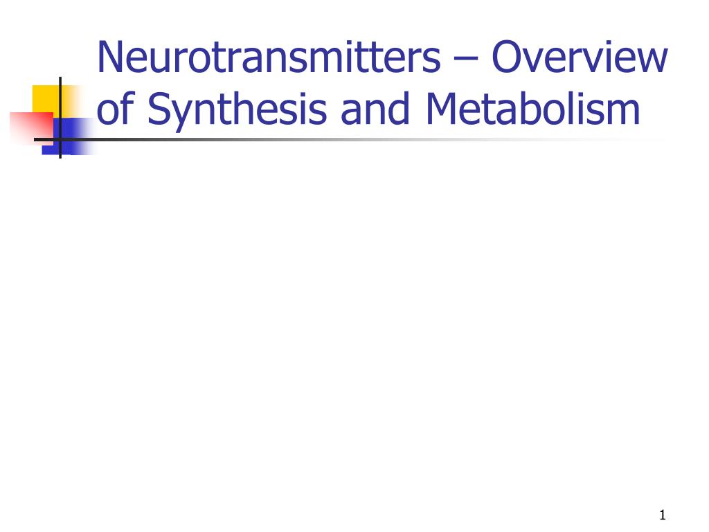 Image Result For Metabolism Definitiona Image Result For Metabolism Definitiona