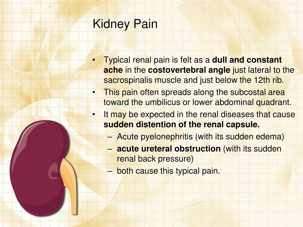 PPT - Urology Case PowerPoint Presentation, free download - ID:494835