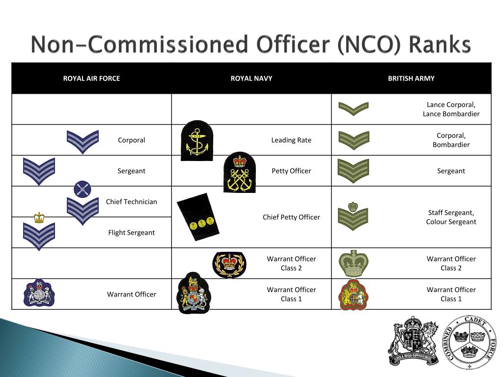 British Army Nco Ranks | Images and Photos finder