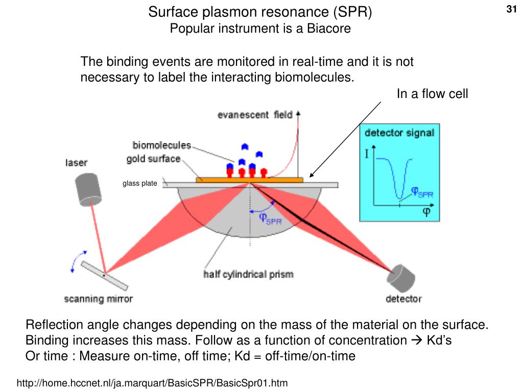 Плазмон. Surface Plasmon Resonance. Поверхностный плазмонный резонанс (SPR). Конструкция анализатора поверхностного плазмонного резонанса. Поверхностным плазмонным резонансом.