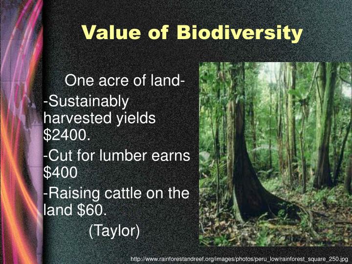 value of biodiversity value of biodiversity