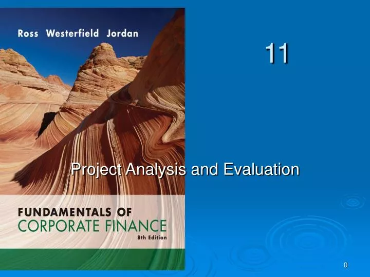 project analysis and evaluation n.