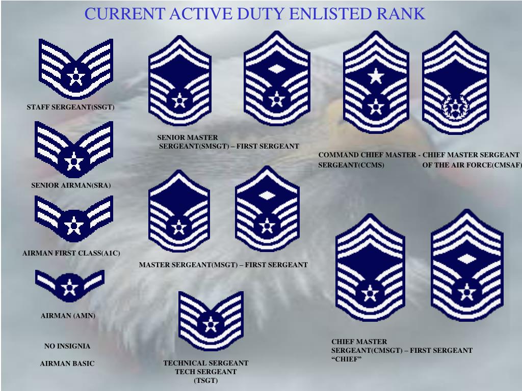 PPT AIR FORCE RANK PowerPoint Presentation, free download ID496117