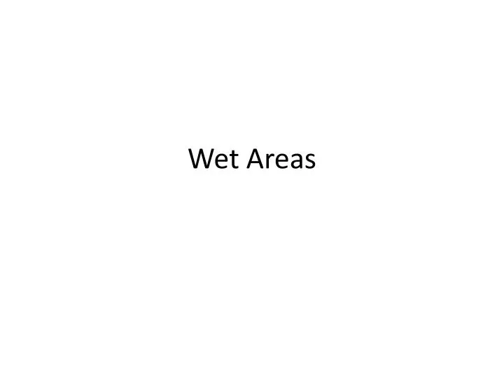 wet areas n.