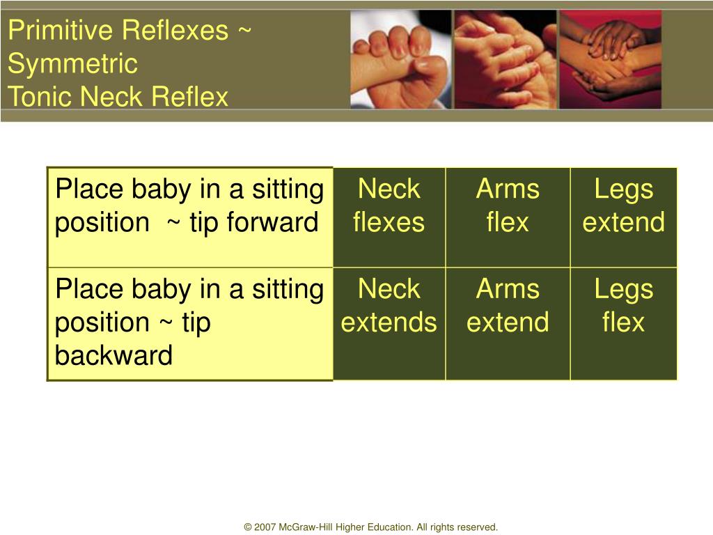 Infant Primitive Reflexes Chart