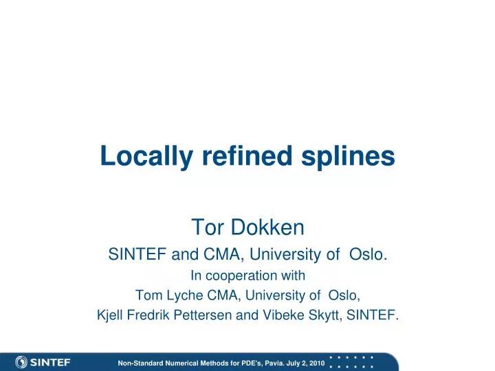 locally refined splines n.