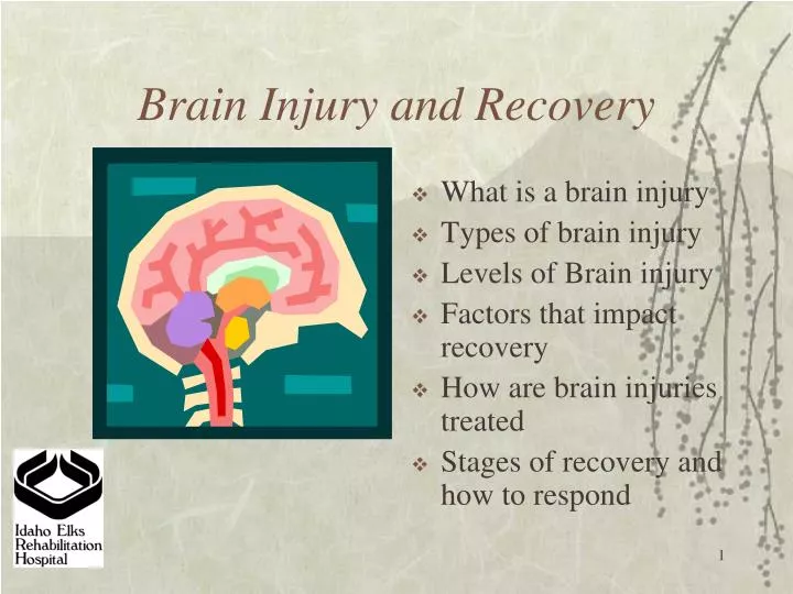 brain injury and recovery n.