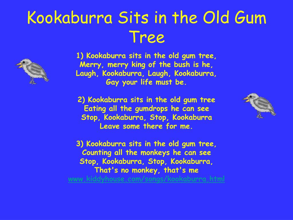 Kookaburra Sits In The Old Gum Tree Lyrics Original PPT - Exploring Australia PowerPoint Presentation, free download - ID:50044