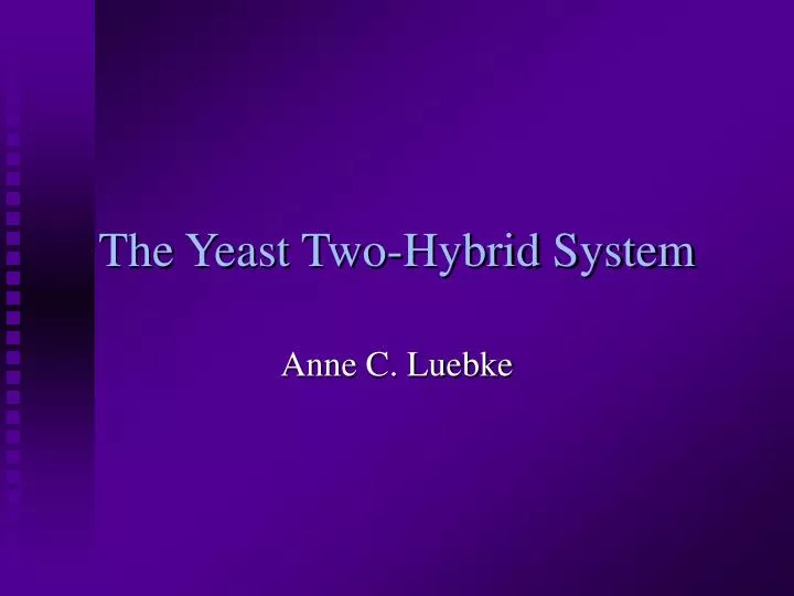 the yeast two hybrid system n.