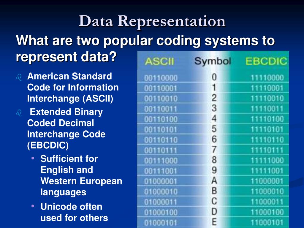 data representation computer system