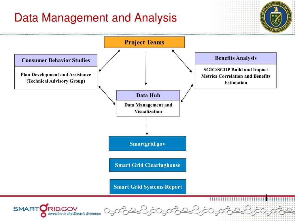 data management analysis and presentation