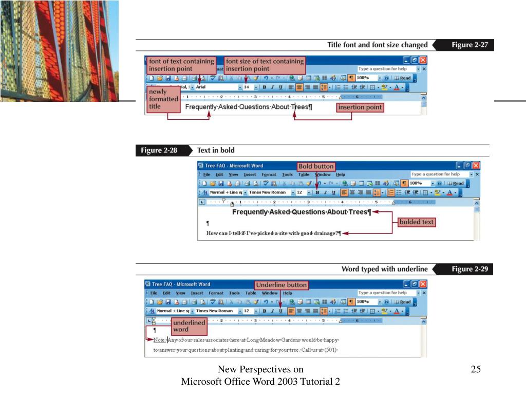 microsoft word 2003 questions microsoft word 2003 questions