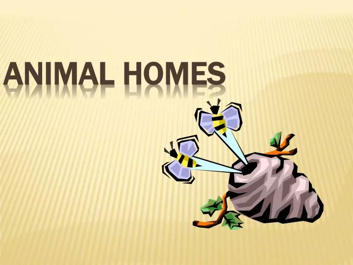 powerpoint presentation on animals and their homes