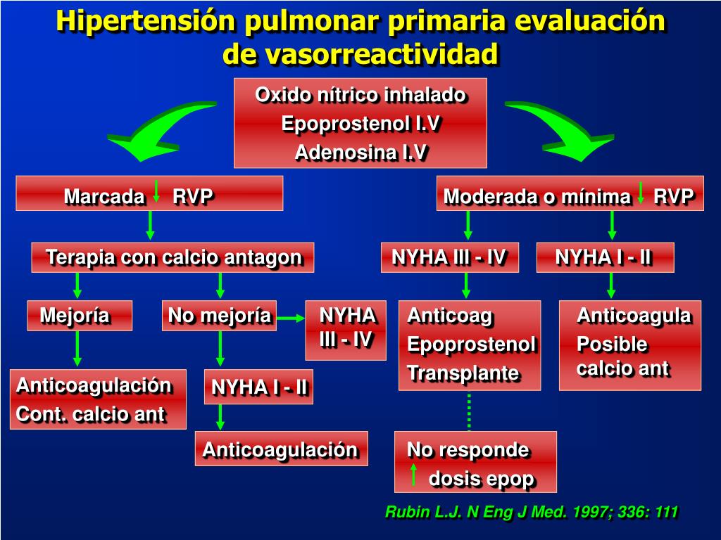 Ppt Hipertension Pulmonar IdiopÁtica Powerpoint Presentation Free Download Id508467